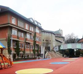 AÇI OKULLARI