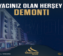 DEMONTI OTEL